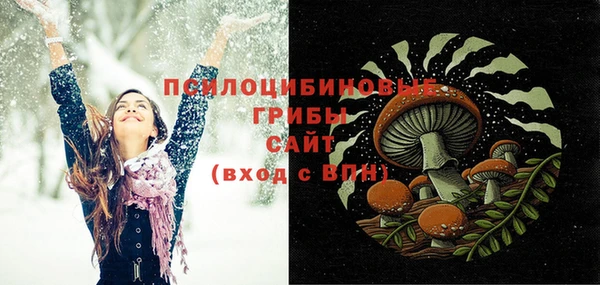 спиды Алексин