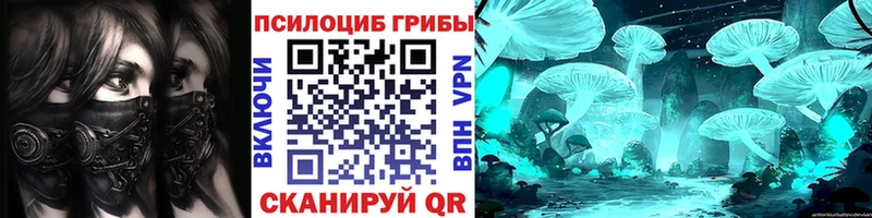 Псилоцибиновые грибы Cubensis  Ивдель 